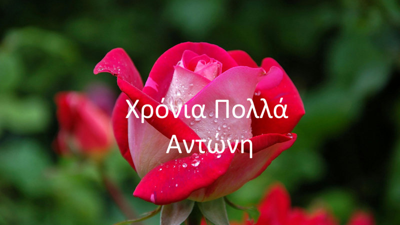 Χρόνια Πολλά Αντώνη